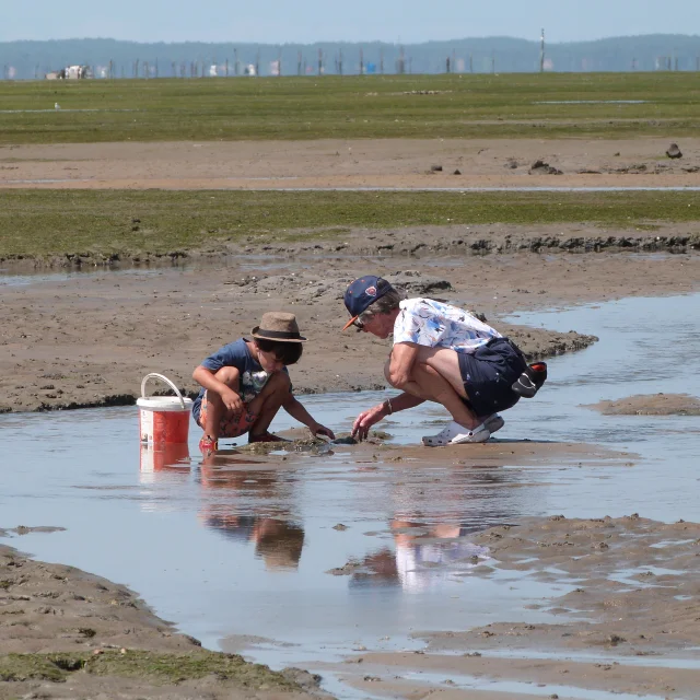 Une femme et un enfant sont accroupis dans l'estran à marée basse pour ramasser des coquillages
