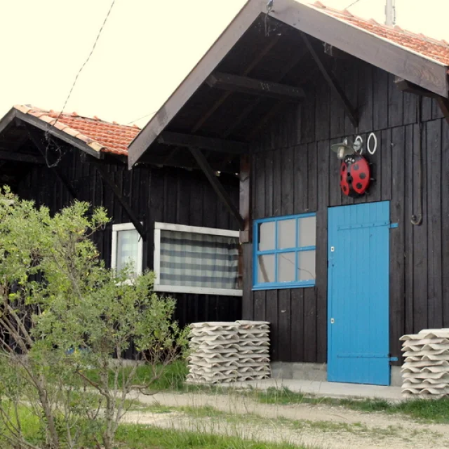 Photo d'une cabane ostréicole du port du Canal avec une coccinelle au dessus de la porte