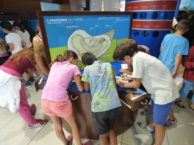 Groupe d'enfant participant à un jeu à la Maison de l'huitre