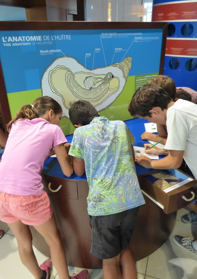 Groupe d'enfant participant à un jeu à la Maison de l'huitre