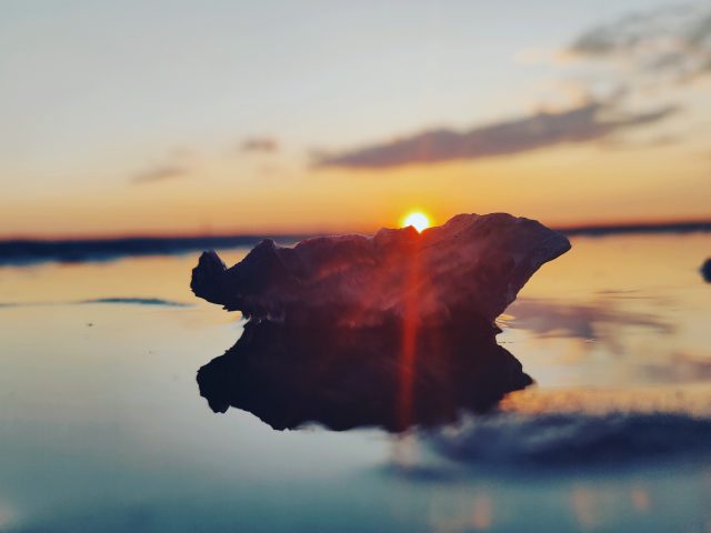 Huître posée dans l'eau à marée basse avec le coucher du soleil en arrière plan
