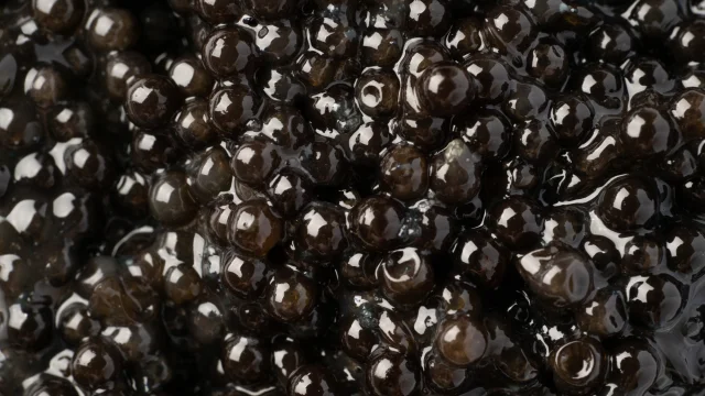 oeufs de caviar