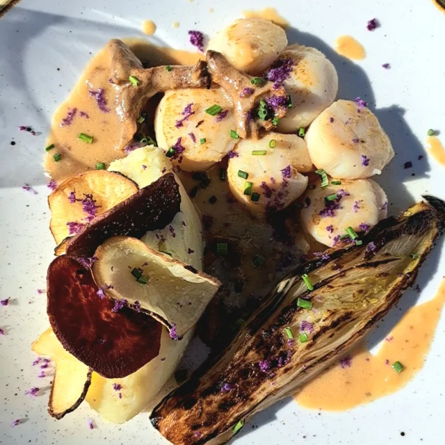 Plat de noix de Saint jacques au restaurant les Pavois