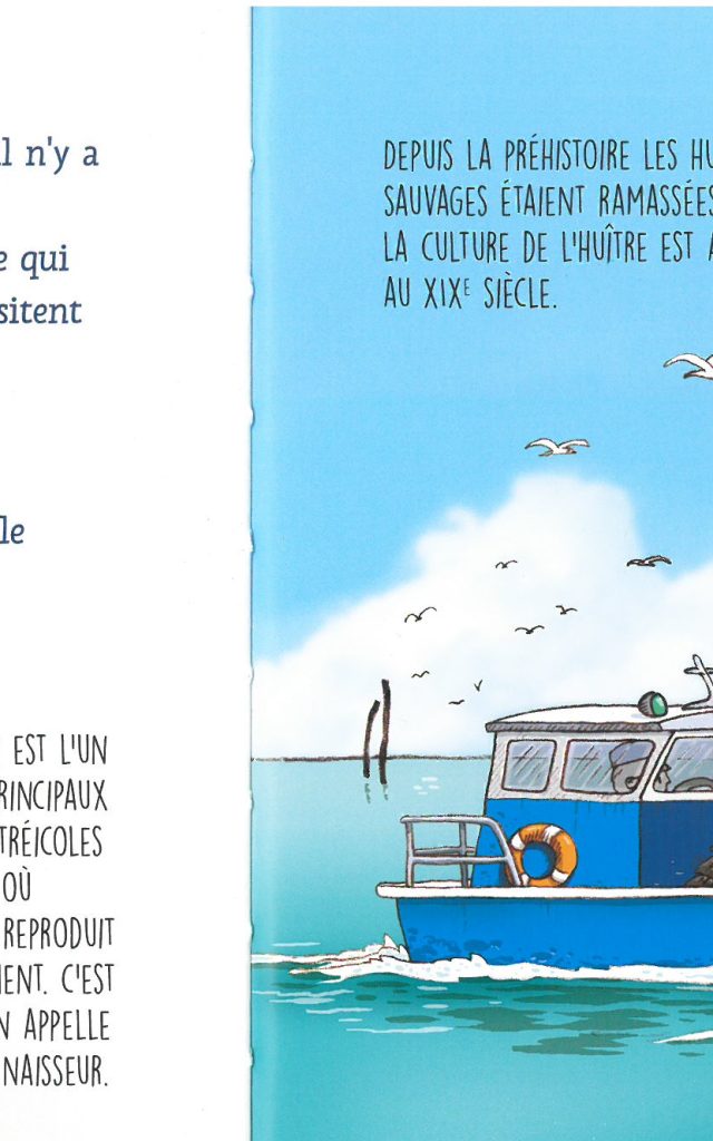 illustration plate sur le Bassin d'Arcachon avec un oiseaux et un cochon