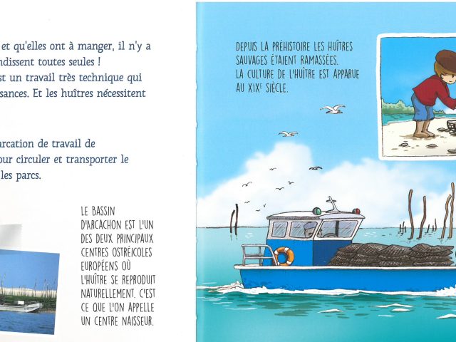 illustration plate sur le Bassin d'Arcachon avec un oiseaux et un cochon