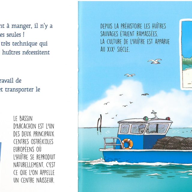 illustration plate sur le Bassin d'Arcachon avec un oiseaux et un cochon