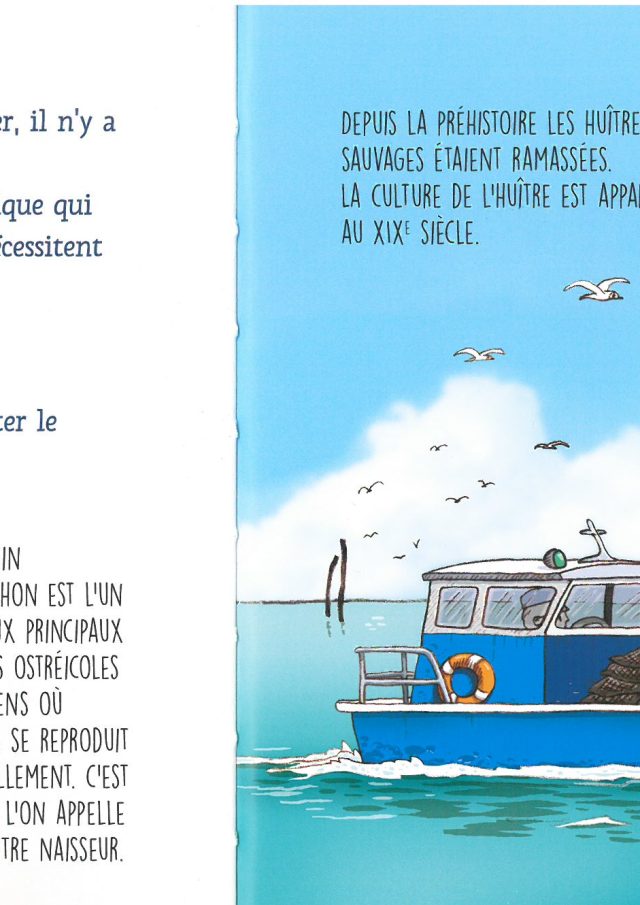 illustration plate sur le Bassin d'Arcachon avec un oiseaux et un cochon