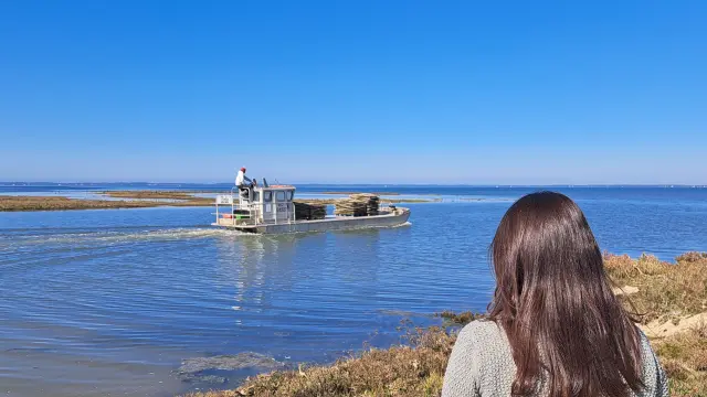 personne qui regarde une plat partant à la marée